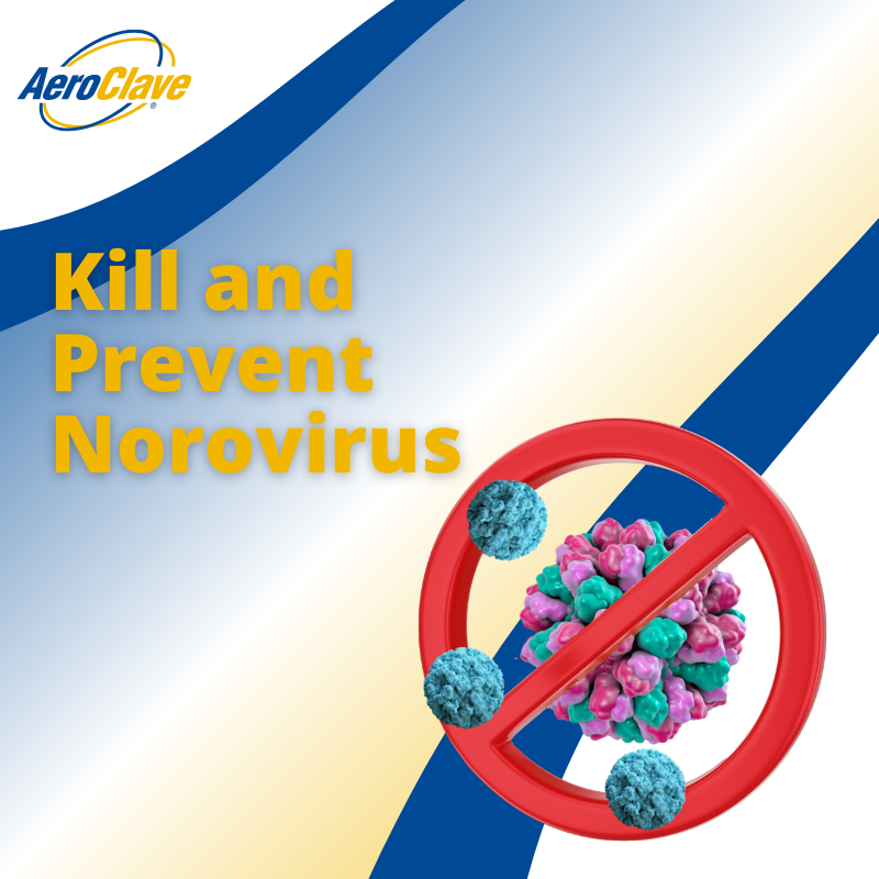 Norovirus 2024: How to Protect Yourself from Infection