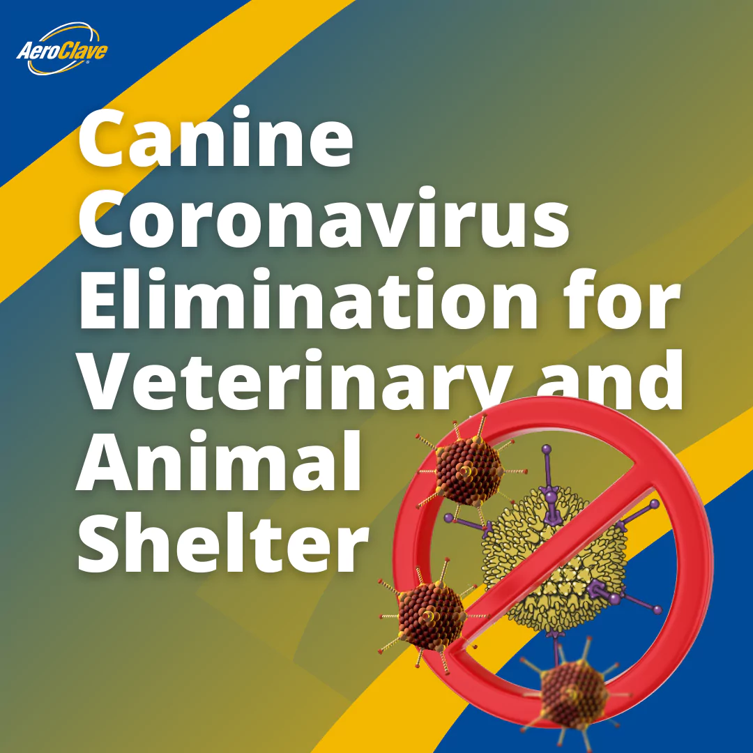 Canine Coronavirus: What Dog Owners Need to Know