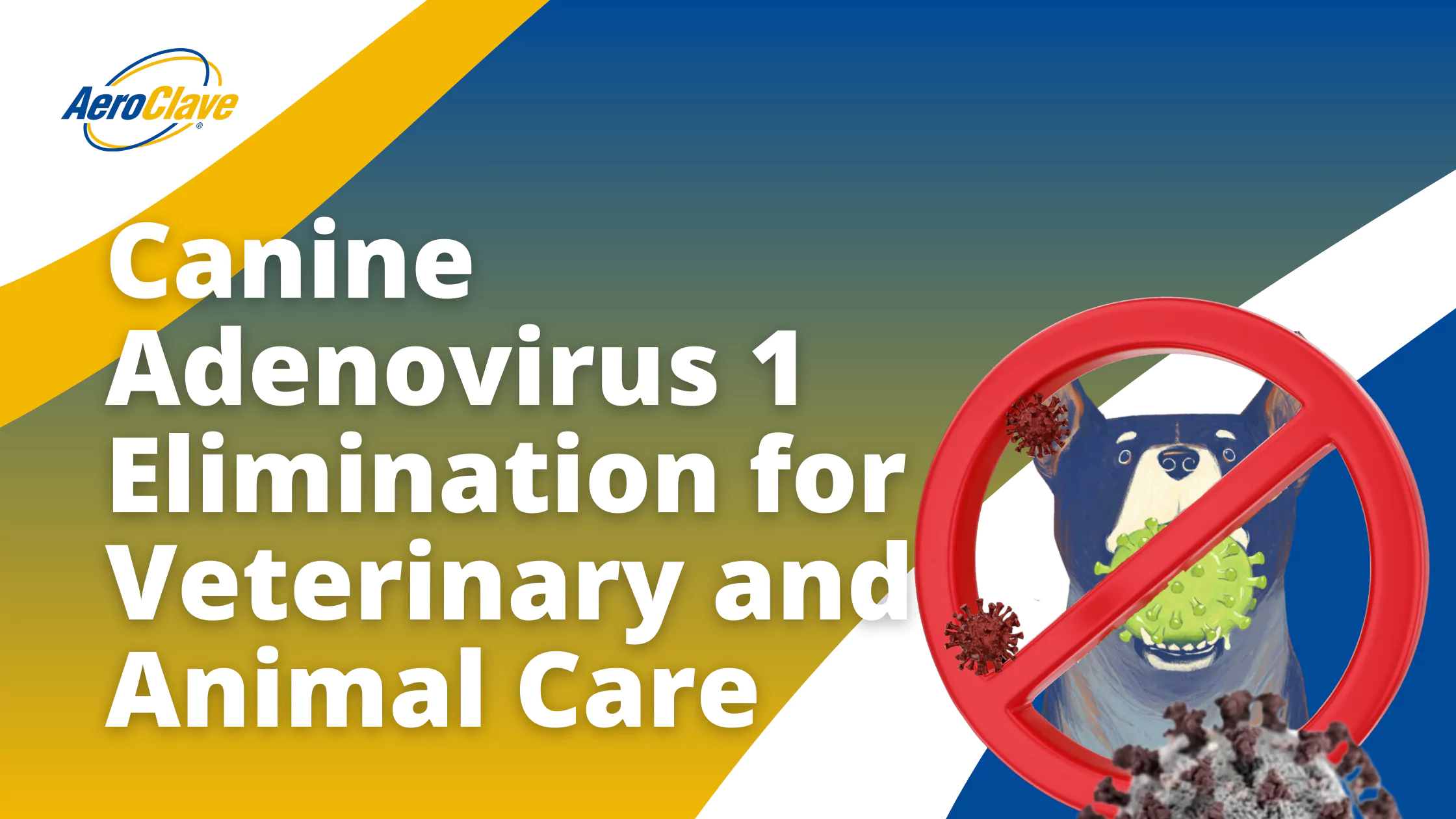 Canine Coronavirus: What Dog Owners Need to Know