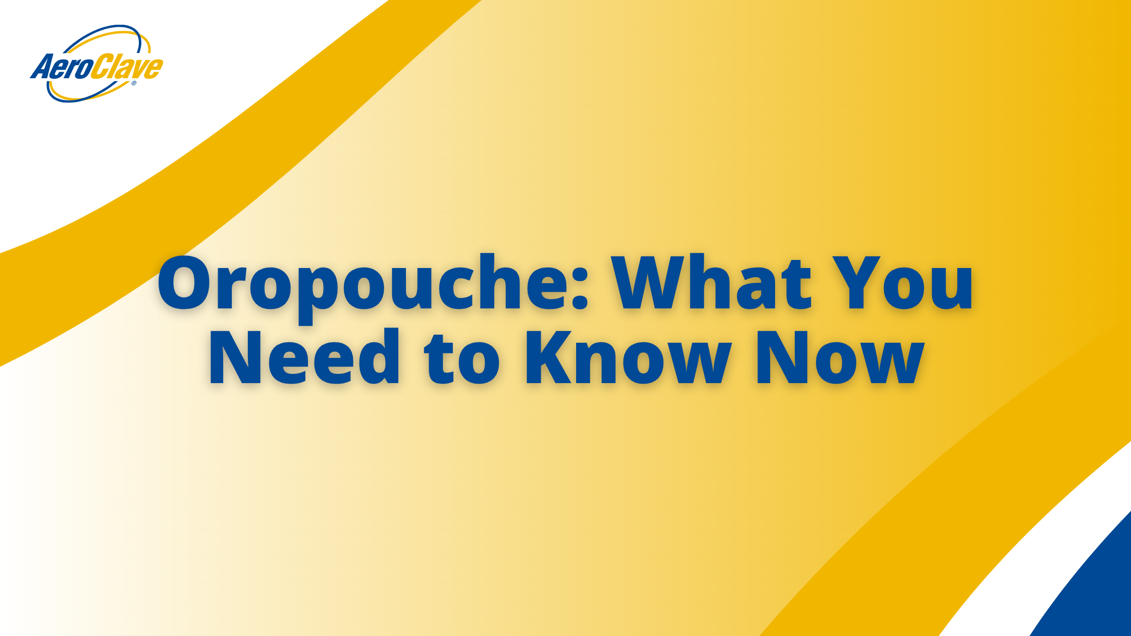 blog banner (15) Oropouche: What You Need to Know Now Banner