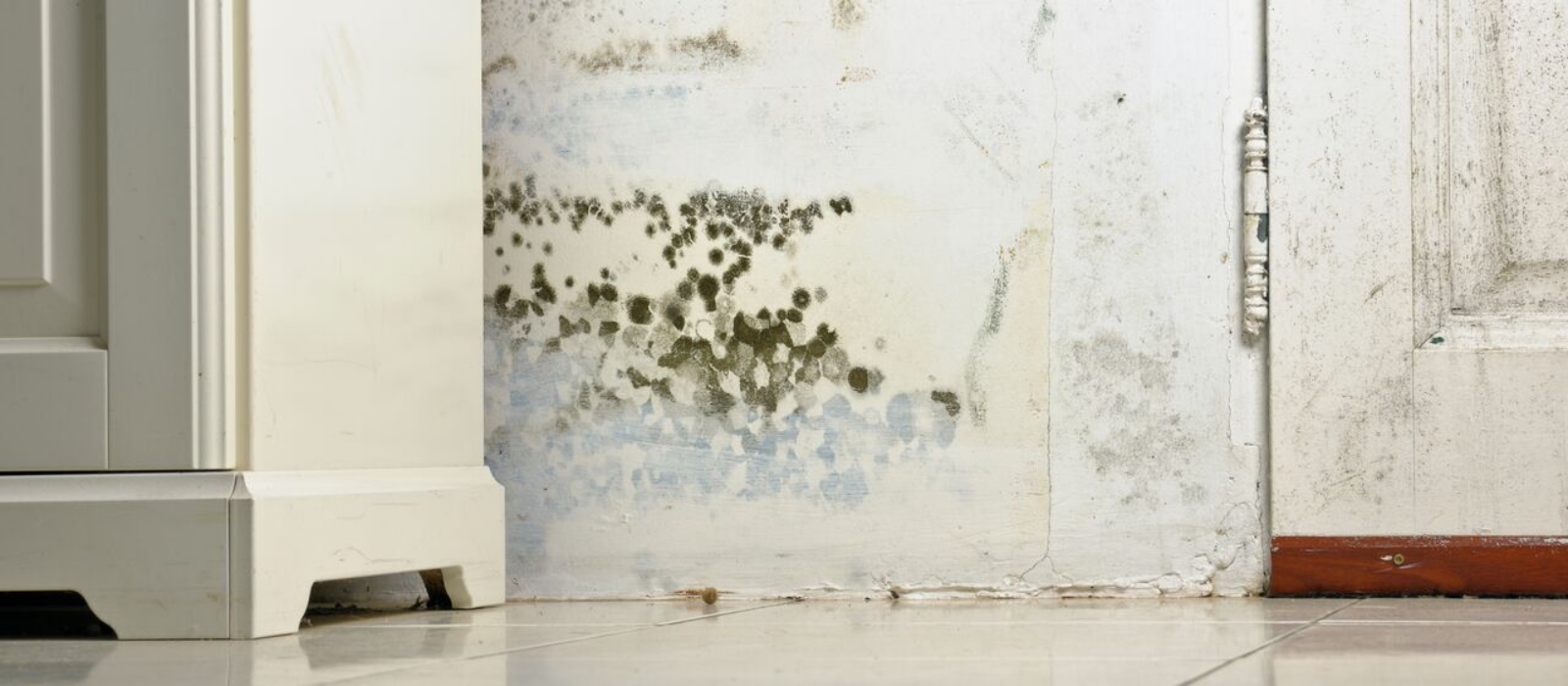 schimmelbefall_zuhause_hausratversicherung_web